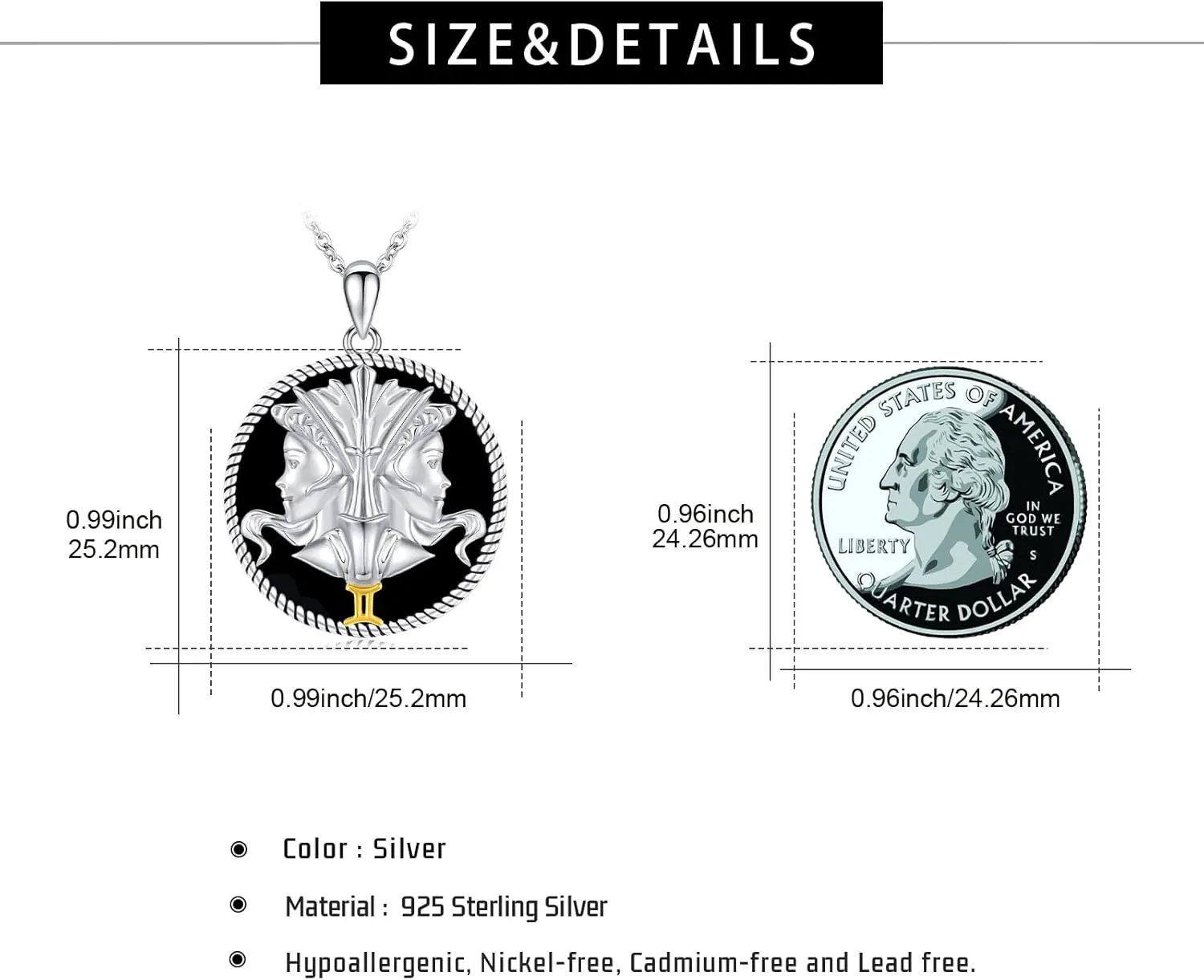 12 Constellation Necklace 925 Sterling Silver Zodiac Sign Coin Pendant Necklaces Black Onyx Astrology Horoscope Jewelry Birthday Gifts for Women Men