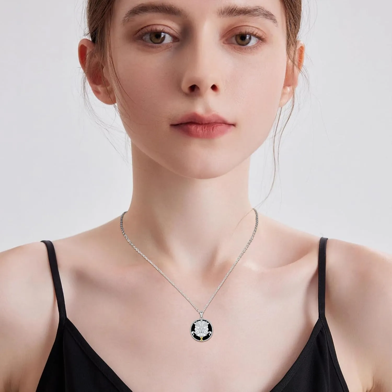 12 Constellation Necklace 925 Sterling Silver Zodiac Sign Coin Pendant Necklaces Black Onyx Astrology Horoscope Jewelry Birthday Gifts for Women Men