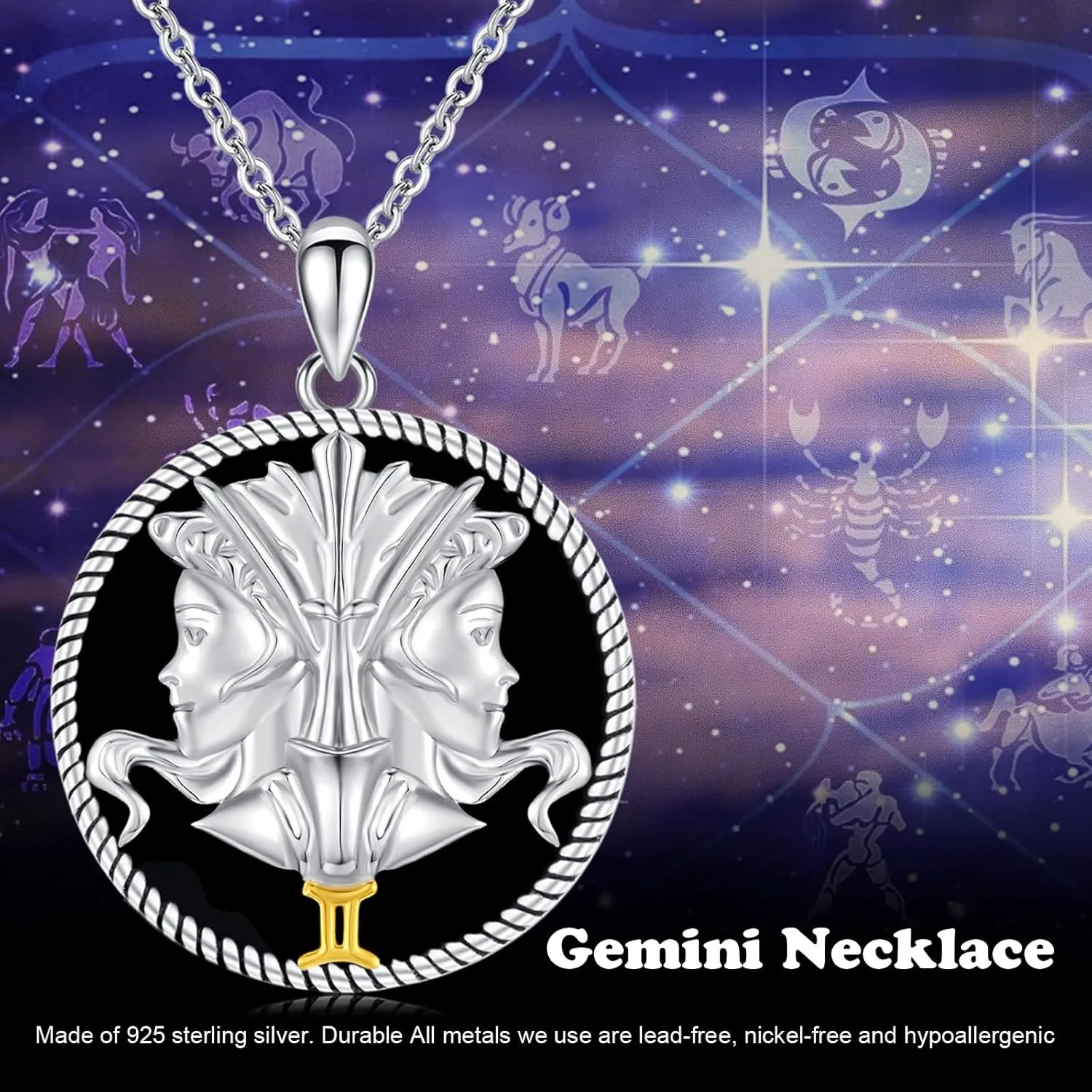 12 Constellation Necklace 925 Sterling Silver Zodiac Sign Coin Pendant Necklaces Black Onyx Astrology Horoscope Jewelry Birthday Gifts for Women Men