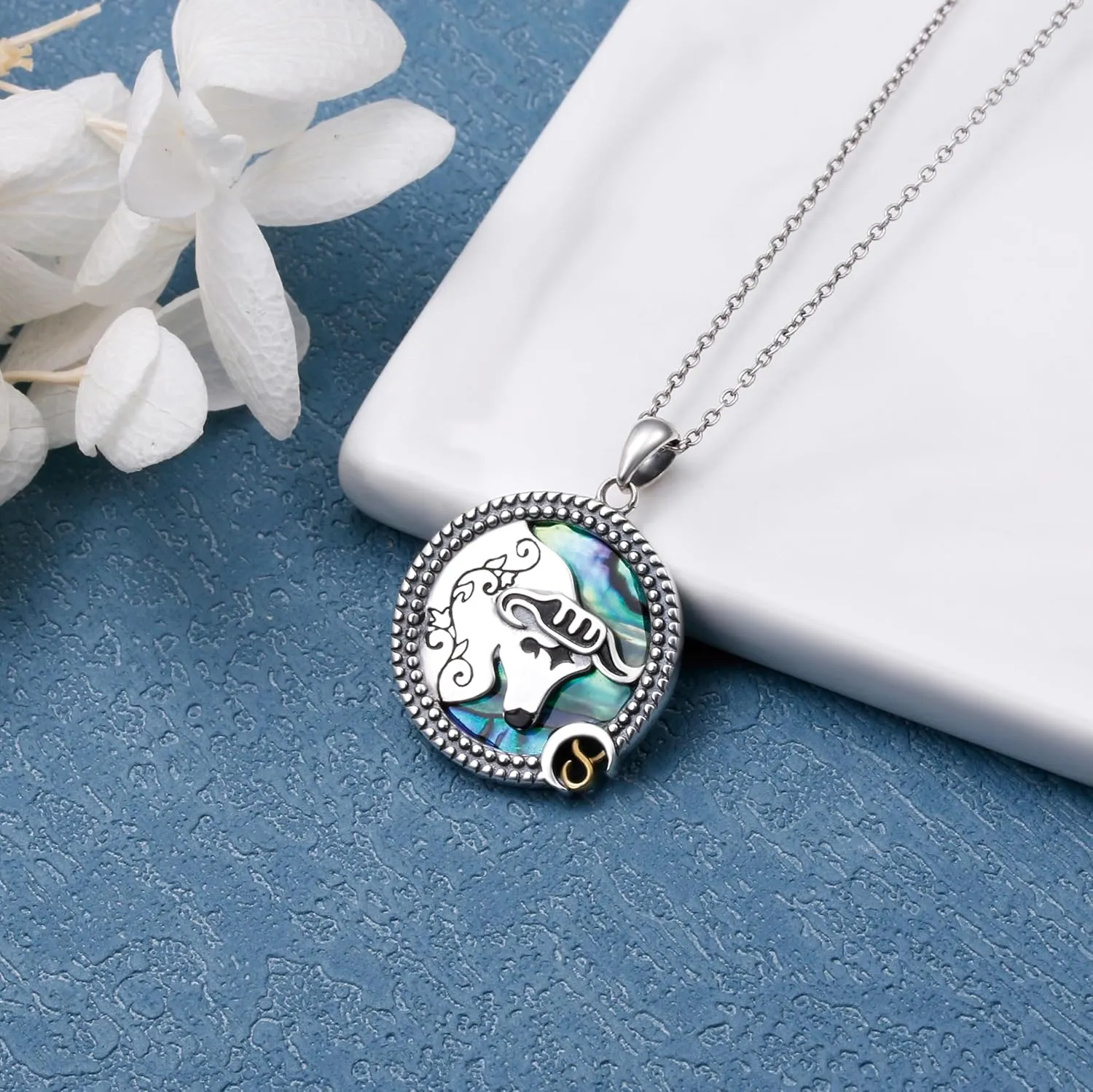 Alphm 12 Constellation Necklace 925 Sterling Silver Zodiac Sign Coin Pendant Necklaces Abalone Shell Astrology Horoscope Jewelry Birthday Gifts for Women