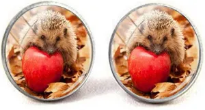 Beautiful Vintage Hedgehog Glass Cufflinks Art Photo Jewelry Birthday Festival Gift Beautiful Gift