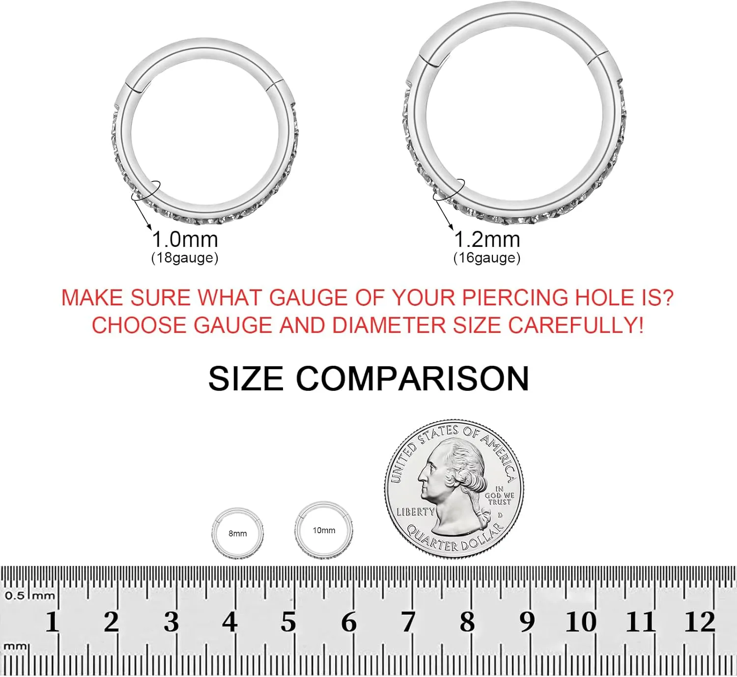 BLISI 2PCS G23 Titanium Nose Rings Hoop 18G 16G Clear CZ Lined Hypoallergenic Conch Helix Cartilage Daith Earrings Hoop 8mm 10mm Septum Rings Silver and Gold Lip Hinged Segment