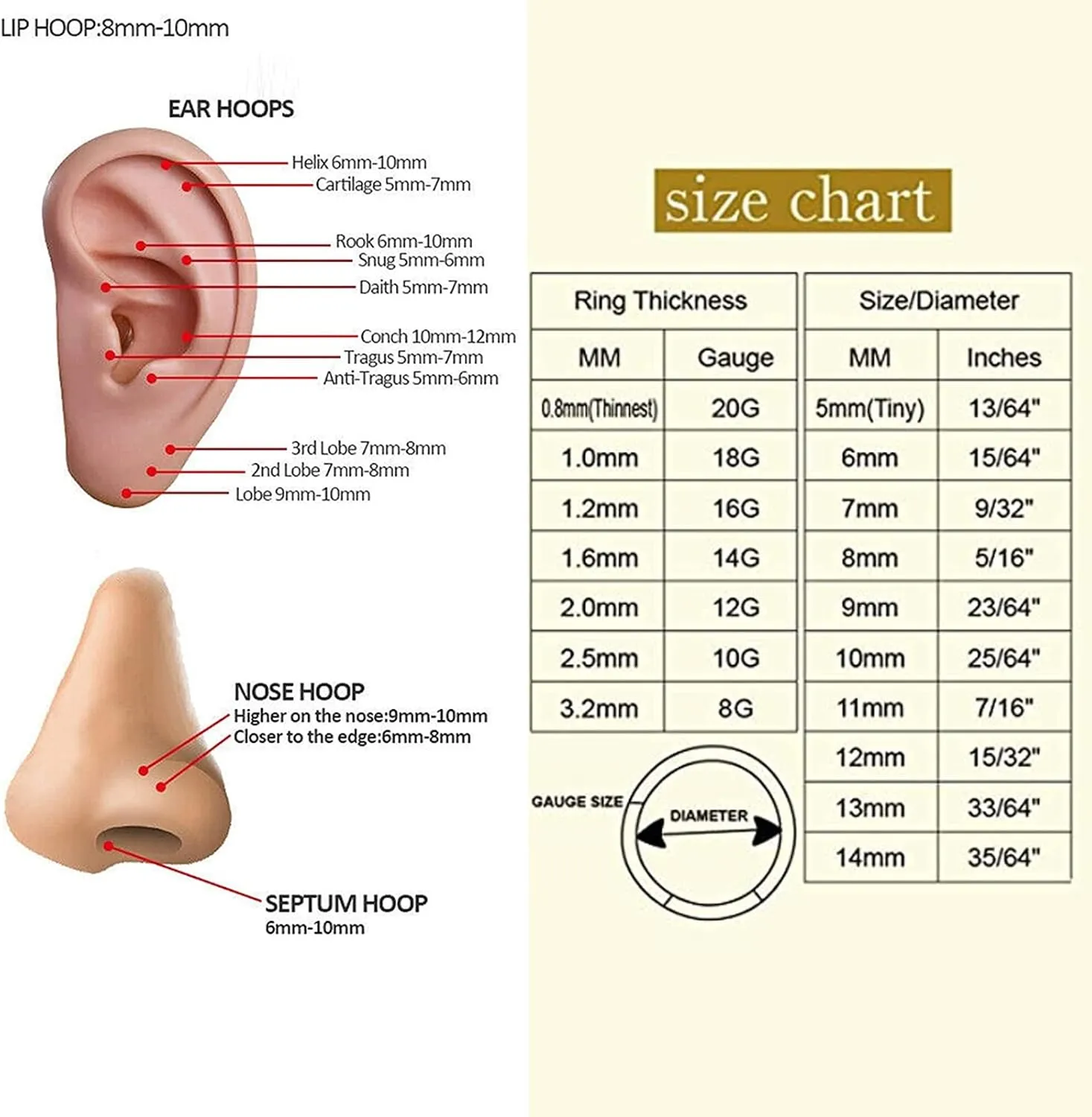 BLISI 2PCS G23 Titanium Nose Rings Hoop 18G 16G Clear CZ Lined Hypoallergenic Conch Helix Cartilage Daith Earrings Hoop 8mm 10mm Septum Rings Silver and Gold Lip Hinged Segment