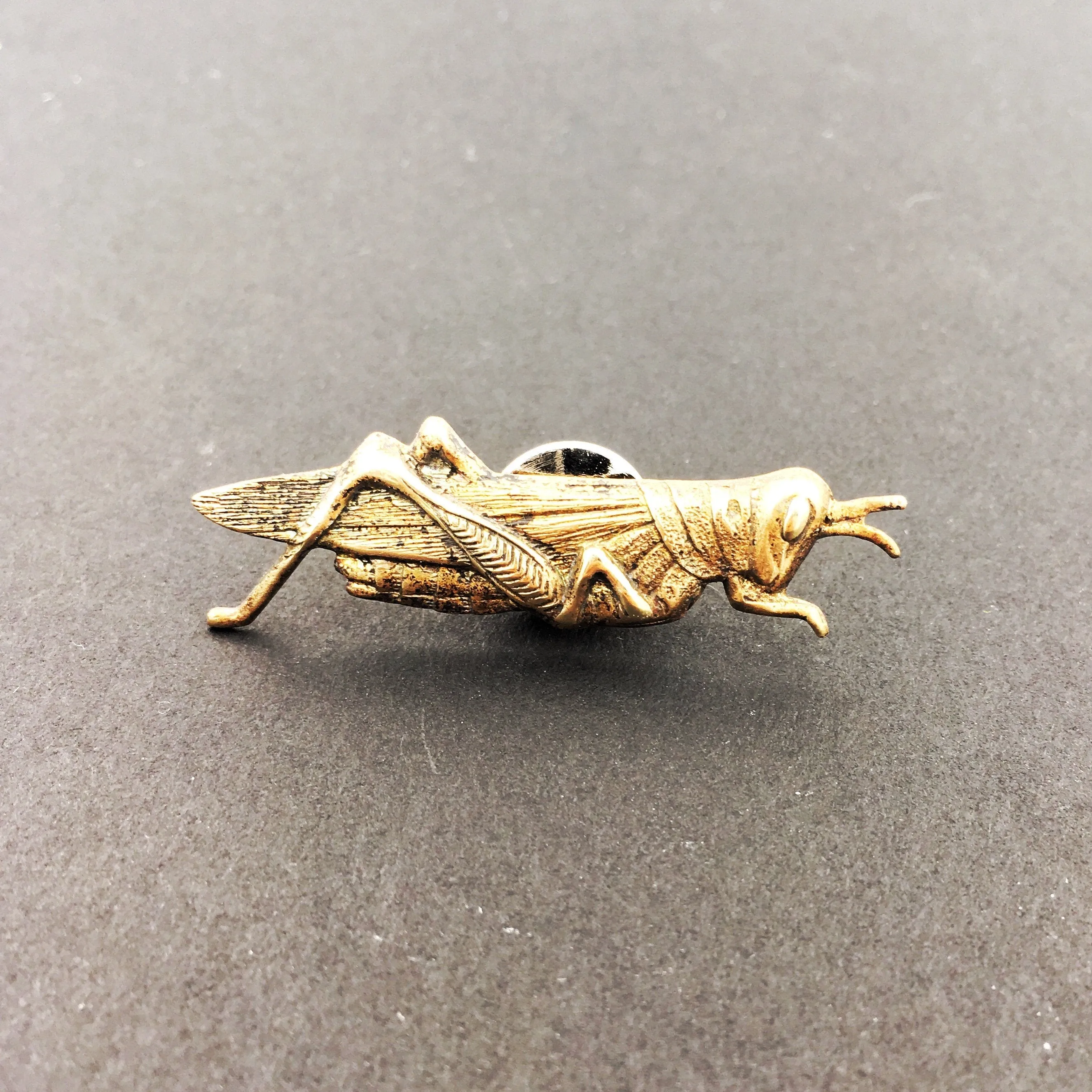 Brass Grasshopper or Cricket Insect Pin or Brooch