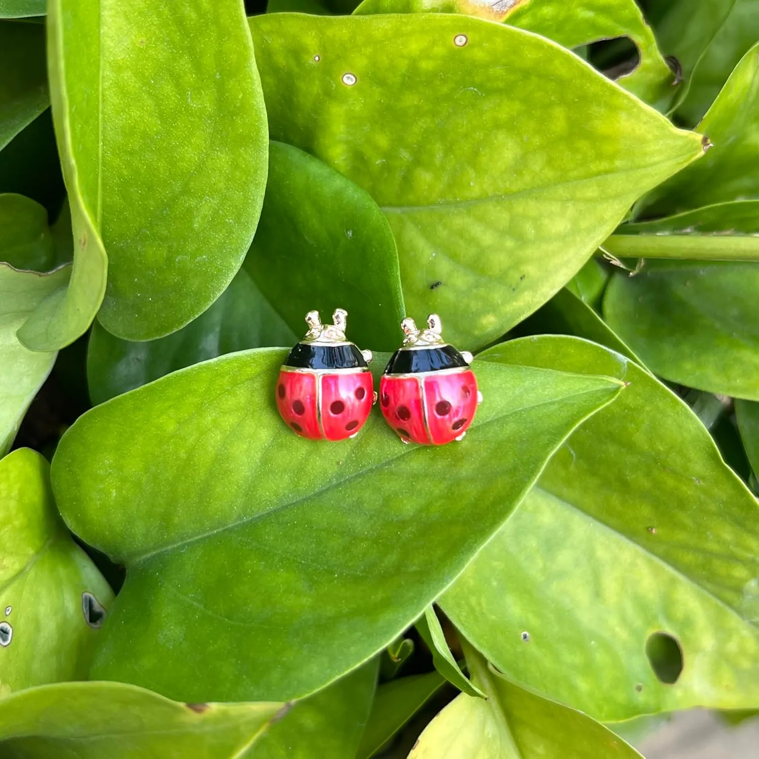 Cute Ladybug Stud Earrings for Women - Dainty Red Ladybird Stud Earrings- Fashion Jewelry Gifts