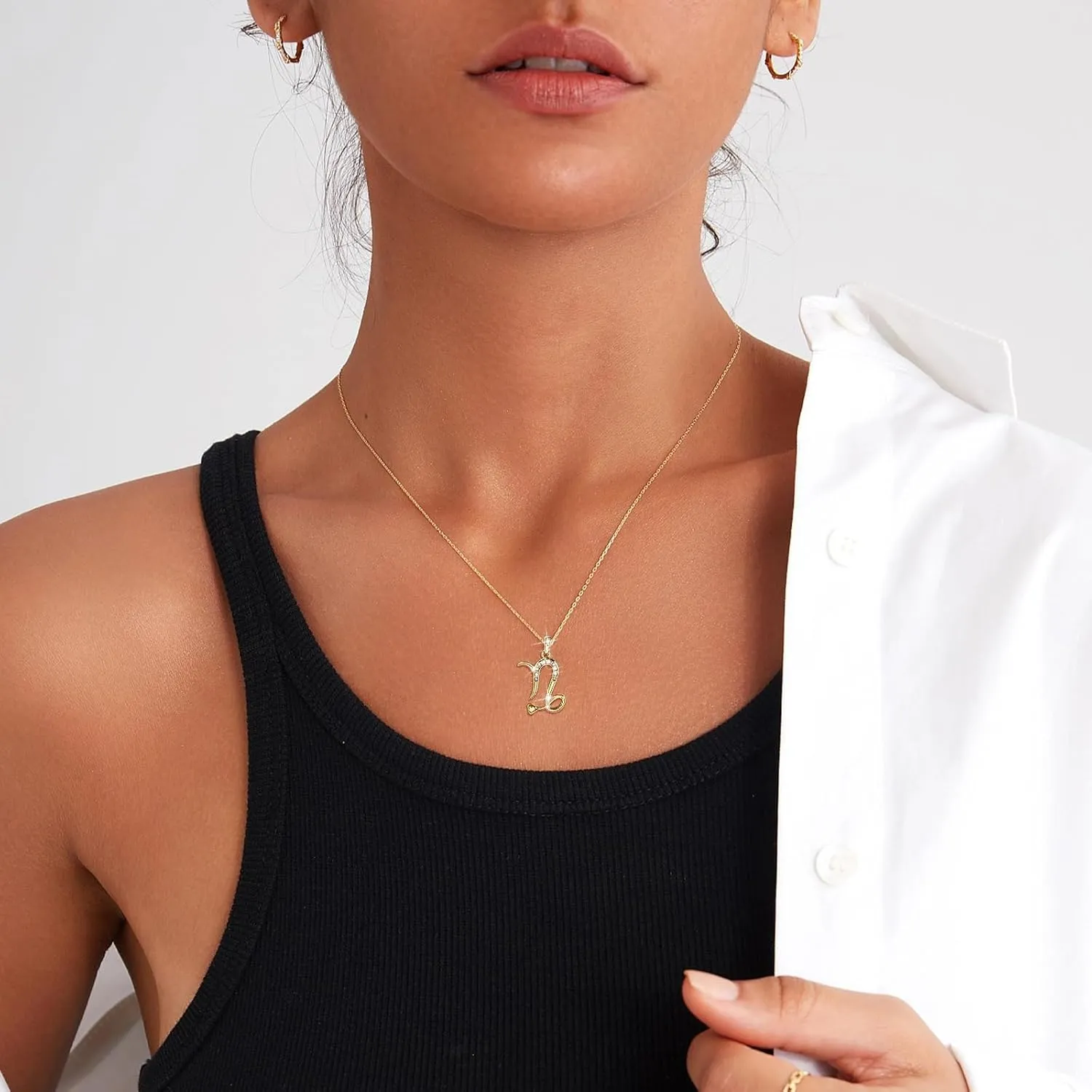 DZALIME Zodiac Necklaces for women,14K Gold Virgo Cancer Leo Pisces Libra Scorpio Taurus Sagittarius,Dainty Personalized Jewelry Astrology Gifts For Women