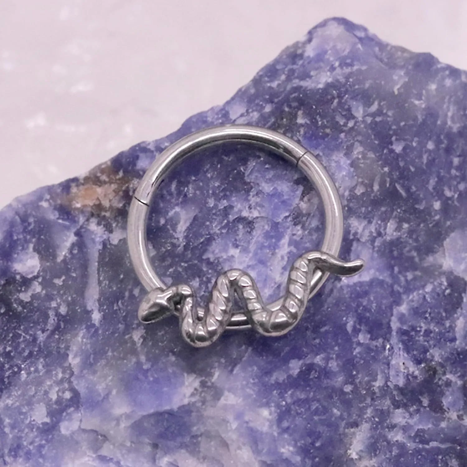 G23 Titanium Septum Rings 16G Butterfly,Leaf,Snake Septum Nose Ring Daith Piercing Jewelry Conch Helix Earring Cartilage Earring for Women Men
