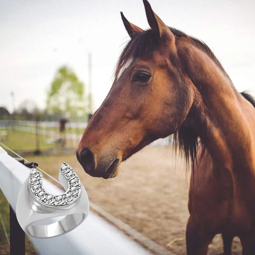 Men's CZ Clear Stone Horseshoe Horse Equestrian Novelty Fashion Statement Ring