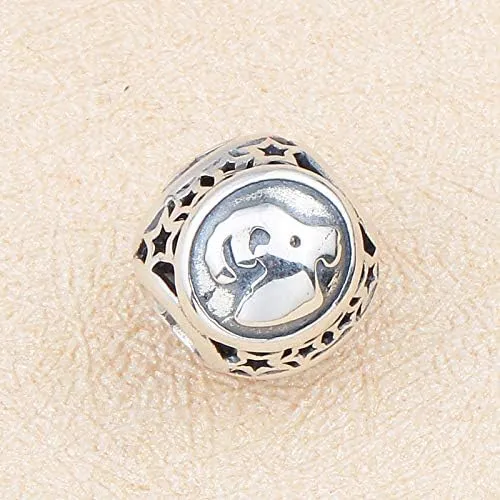 NicelyFit 925 Sterling Silver Zodiac Constellation Sign Bead Charm fit Pandora Chamilia Bracelet Necklace (Capricorn)