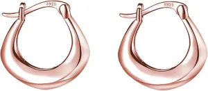 Reffeer 925 Sterling Silver Chunky Hoop Earrings for Women Teens Thick Hoop Earrings Minimalist Huggie Earrings Hypoallergenic