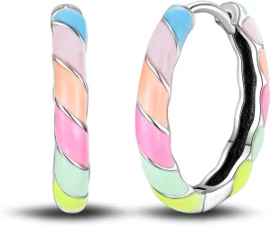 S925 Sterling Silver Earrings for Women Huggie Hoop Earrings