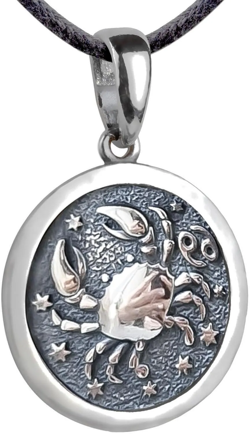 Zodiac Sign Pendant Necklace 925 Sterling Silver Horoscope Medallion Coin Disc Choker Charm Constellation Astrology Jewelry for Men Women
