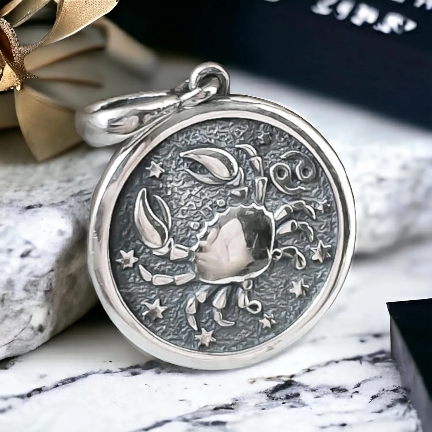 Zodiac Sign Pendant Necklace 925 Sterling Silver Horoscope Medallion Coin Disc Choker Charm Constellation Astrology Jewelry for Men Women