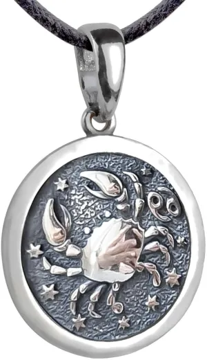 Zodiac Sign Pendant Necklace 925 Sterling Silver Horoscope Medallion Coin Disc Choker Charm Constellation Astrology Jewelry for Men Women